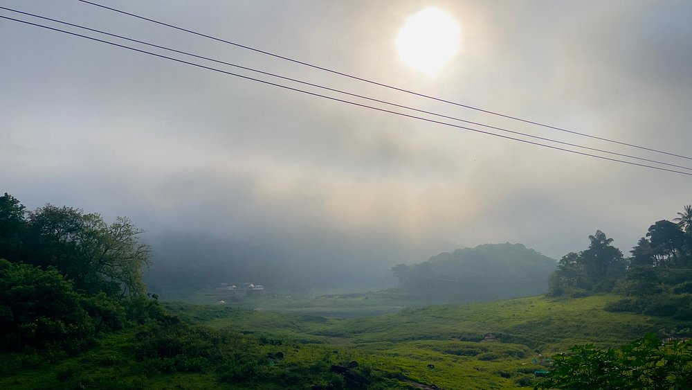 Tea Gardens Idukki
